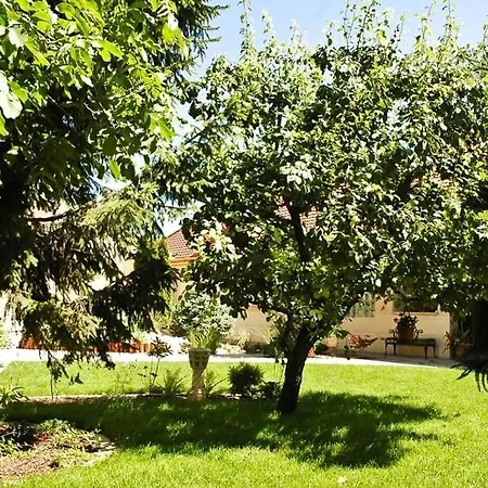 公寓 Gombos Apartman Hajdúszoboszló